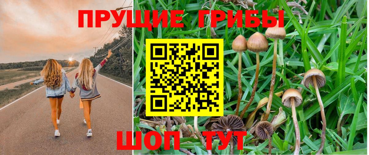 Галлюциногенные грибы прущие грибы Карпинск