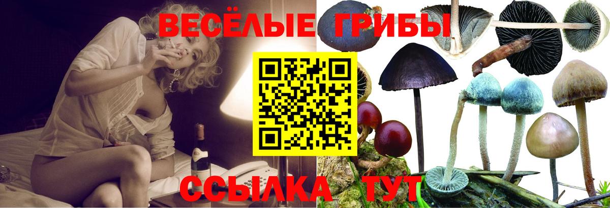Карпинск  Галлюциногенные грибы MAGIC MUSHROOMS  Вход с VPN 